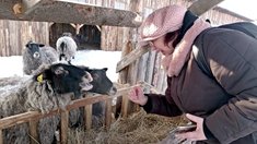 В Челябинской области стартует оценка проектов на грант «Агротуризм»