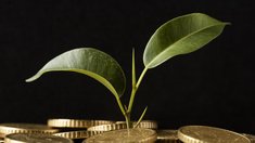 В 2025 году на поддержку АПК Тамбовской области направлено почти 1,8 млрд руб.