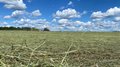 Более половины запланированного объема сена заготовлено в Нижегородской области