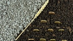 В 2025 году до свердловских аграриев доведено 1,6 млрд руб. господдержки в рамках софинансирования