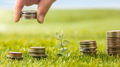 На развитие АПК и сел Новгородской области перечислено 382,2 млн руб.