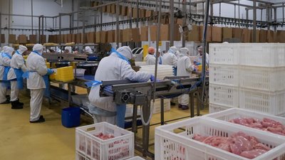Экспорт халяльной продукции из России в 2022 году вырос почти на 50%