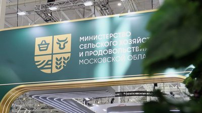 Подмосковные предприятия получили 23 золотые медали «Золотой осени — 2026»