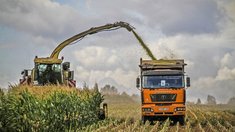 В Липецкой области заготовили 9 тыс. тонн силоса при потребности 408 тыс. тонн