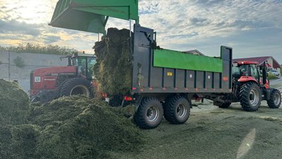 Девять районов Томской области приступили к кормозаготовке