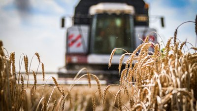 4,5 млрд рублей господдержки получит липецкий АПК в 2024 году