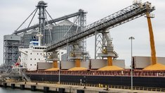 ОЗК увеличила экспорт зерна в 2025/26 сельхозгоду в 1,5 раза