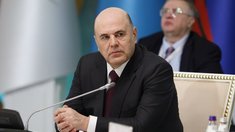 Мишустин сообщил о льготной поддержке агропроектов в рамках ЕАЭС