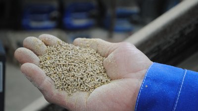 Новый мини-завод по переработке зерна готовится к открытию в Липецкой области