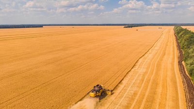 Кабмин РФ планирует сохранить все меры поддержки АПК — Абрамченко