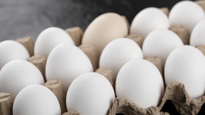 Костромские птицефабрики нарастили выпуск яиц на 3,6%