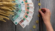 На агрогоспрограмму в 2027–2029 годах предусмотрели более 872 млрд рублей
