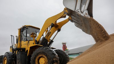 Аграрии Красноярского края собрали 2,8 млн тонн зерна
