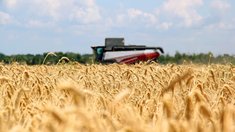 Аграрии Саратовской области намолотили 1,5 млн тонн зерна