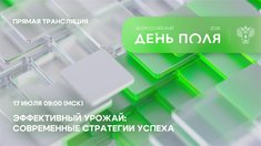 Прямая трансляция пленарного заседания Всероссийского дня поля - 2026