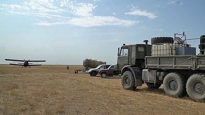 В Дагестане против саранчи обработано 21 тысяча гектаров