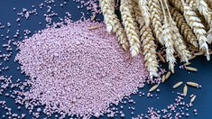 Госдума приняла закон об обеспечении безопасного обращения с пестицидами и агрохимикатами