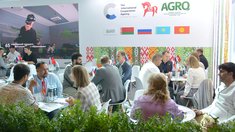 Челябинский агроэкспорт вырос на 32,3% за первые семь месяцев 2026 года