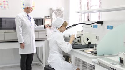 В Херсонской области развивают селекцию сортов риса