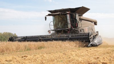 Аграрии Кузбасса впервые в истории собрали 1 млн 789,9 тыс. тонн зерна
