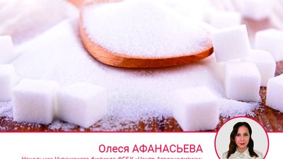 Обзор текущих цен и перспектив на мировом рынке сахара