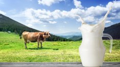 Крупнейшую в Башкирии молочную ферму за 6,2 млрд руб. сдадут раньше срока