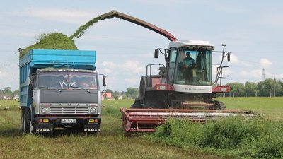 В сельхозорганизациях и КФХ Брянской области заготовлено 63 тыс. т сена