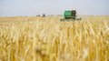 Ивановская область завершила уборку зерновых с урожаем 133 тыс. тонн
