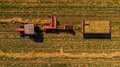 Кормовые культуры в Смоленской области скошены с 51 тыс. га