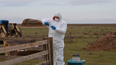 Донская ветслужба провела межрегиональные учения по ликвидации очага оспы овец и коз