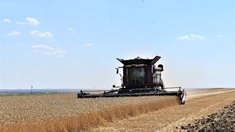 Четыре миллиона тонн зерна уже намолотили аграрии Волгоградской области