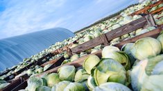 Государственная поддержка формирует новые возможности для фермеров Чувашии