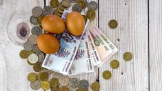 За I полугодие отпускные цены на яйца в РФ снизились на 8–10% — «Росптицесоюз»