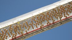 Выксунская птицефабрика открыла поставки в Киргизию после увеличения мощности до 310 млн яиц в год