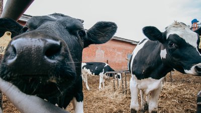 145 рабочих мест планируют создать аграрии Чувашии в 2024 году