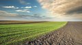 В 51 регионе России планируют расширить посевные площади на 5 млн га к 2030 году
