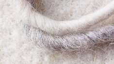 В России может появиться биржевая торговля шерстью