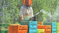 В Томской области благодаря гранту активно развивается семейная пасека