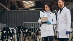 Ветеринарного фельдшера включили в перечень профессий для бесплатного переобучения в 2026 году