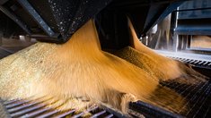 В России запущены биржевые спот-торги зерном