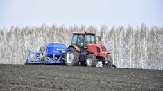 Липецкая область приступила к севу сахарной свеклы