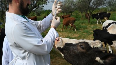 Специалисты ветеринарного центра Запорожской области следят за эпизоотическим благополучием региона