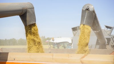Кредитование сезонных полевых работ увеличилось на 42,5%