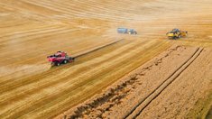 Российские аграрии с начала года собрали более 4,5 млн т зерна