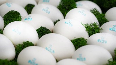 Обзор средних потребительских цен на продовольственные товары в Ингушетии