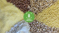 Белгородские аграрии внесли во ФГИС «Зерно» информацию о 4,1 млн т культур урожая 2025 года