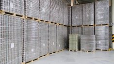 Московская область нарастила экспорт масложировой, мясной и молочной продукции