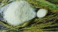 Ограничения на экспорт риса будут сняты — профильный союз