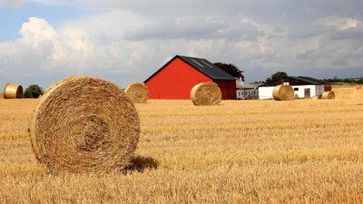 Хозяйства Саратовской области приступили к заготовке сена