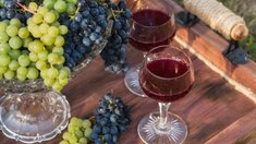 Кубань за I полугодие произвела почти половину объема винодельческой продукции РФ